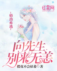 婚劫难逃:向先生,别来无恙