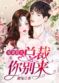 爱妻惹火:总裁你别来
