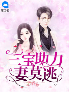 三宝助力妻莫逃慕安歌容凌 三宝助力妻莫逃免费阅读