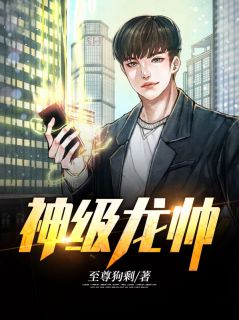 天罗十三针叶帅弟免费试读 叶无道徐灵儿是什么小说