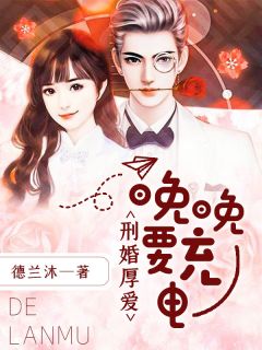 刑婚厚爱:晚晚要充电