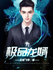 极品龙婿龙辰楚婉柔小说精彩章节免费试读