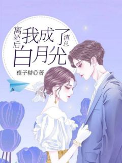 离婚后我成了渣总白月光完整版全文阅读 顾念笙傅尊小说 大结局