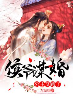 《侯爷谋婚：公主又跑了》小说全文在线阅读 燕司琪轩辕锦辰小说全文