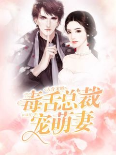 入骨宠婚:毒舌总裁宠萌妻