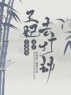 王爷难为：王妃又去打劫了最新章节 燕清槐商成渊大结局免费在线阅读