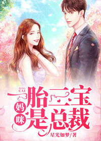 最新《一胎三宝：妈咪是总裁》袁晓静陆横小说在线阅读全文章节