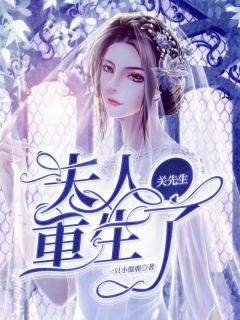 关先生,夫人重生了