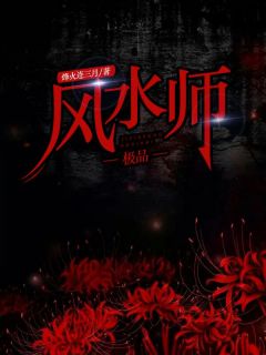 《极品风水师》免费阅读 陆缘林诗诗在线阅读