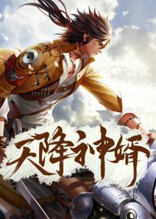 天降神婿陈黄皮叶红鱼全部章节目录