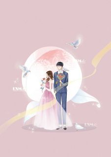 韩总,复婚了解一下