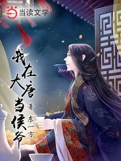 我在大唐当侯爷杜启李世民小说全文章节目录免费试读