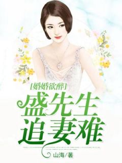 《婚婚欲醉,盛先生追妻难》小说完结版免费试读 凌雅言盛云洲小说阅读