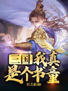 《三国：我真是个书童》小说大结局精彩阅读 诸葛秋诸葛亮小说阅读