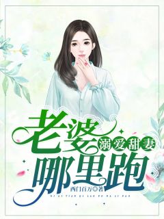 溺爱甜妻:老婆,哪里跑