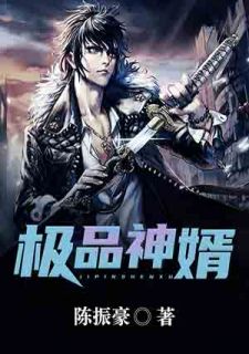 《极品神婿》陈痕随风小说精彩内容免费试读