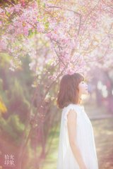 《她与他的白月光有五分像》小说章节精彩阅读 乔忆许聿深小说全文