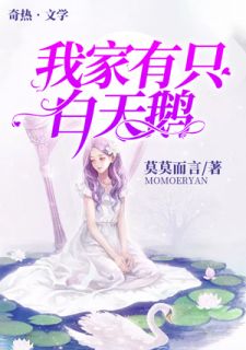 《我家有只白天鹅》苏沫秦濡章节免费试读 苏沫秦濡是什么小说