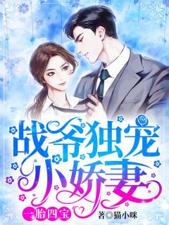 一胎四宝:战爷独宠小娇妻(苏念战纪霆)全文完结在线阅读完整版