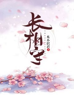 长相守谢婉清沈伯言免费在线全文阅读