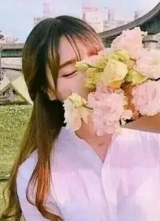 《遇见你让爱更美》晏南衡苏若小说精彩内容在线阅读