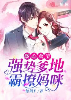 封少的天价娇妻