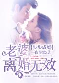 步步成婚：老婆，离婚无效