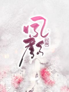 红妆凤颜by玲珑 薛宁成珅小说全文阅读