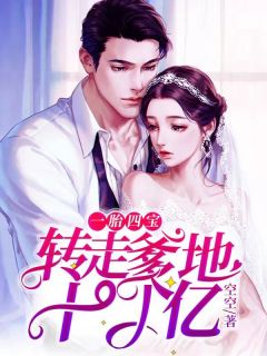 《一胎四宝：转走爹地十个亿》小说完结版精彩试读 苏童雪乔墨寒小说全文