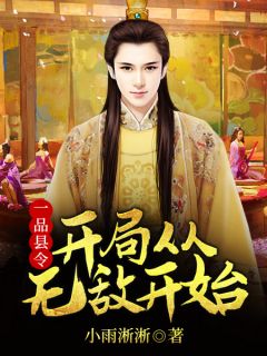 《一品县令:开局从无敌开始》小说完结版在线试读 秦风甲午小说全文