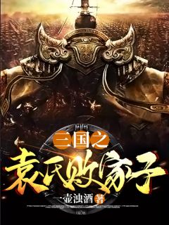 主角是袁皓袁术的小说 《三国之袁氏败家子》 全文精彩试读