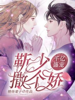 千亿盛宠:靳少,撒个娇