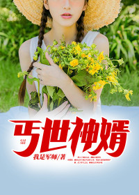 主角是王浩柳仙儿的小说 《丐世神婿》 全文免费阅读