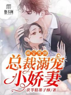 萌宝驾到：总裁溺宠小娇妻全文免费阅读(夏绾绾顾少霆) 完结版