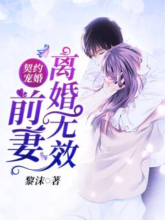 契约宠婚:前妻离婚无效