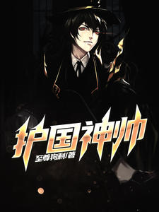 护国神帅叶无道徐灵儿目录_护国神帅阅读