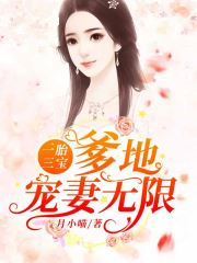 一胎三宝:爹地宠妻无限