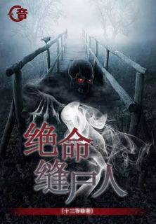 《绝命缝尸人》小说完结版在线试读 沈兴赵妍小说阅读