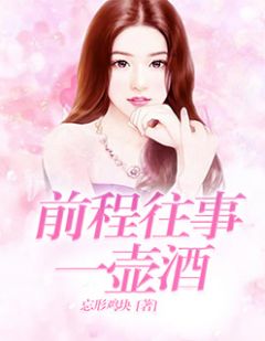 前程往事一壶酒(主角苏燃陆廷风) 前程往事一壶酒在线阅读