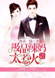 千亿萌宝,极品辣妈太惹火
