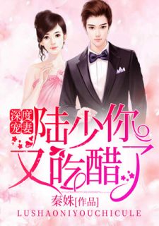 深度宠妻:陆少你又吃醋了