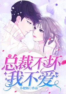 《总裁不坏我不爱》小说大结局在线阅读 牟聿苍伶小说全文