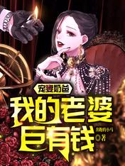 宠妻奶爸：我的老婆巨有钱