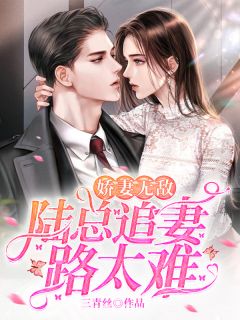 黎歌陆子擎小说 黎歌陆子擎全文免费阅读