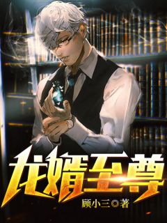 《龙婿至尊》陈阳苏妙全文免费阅读