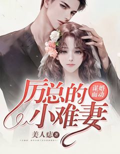 谋婚而动:厉总的小难妻