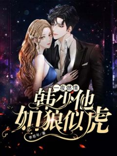 一夜燃情:韩少他如狼似虎
