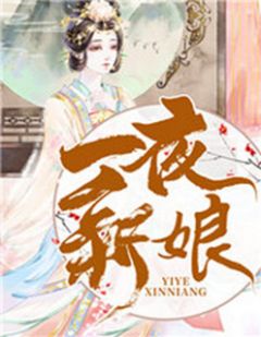 《一夜新娘》大结局在线阅读 《一夜新娘》最新章节列表