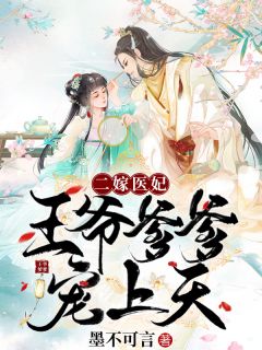 二嫁医妃:王爷爹爹宠上天