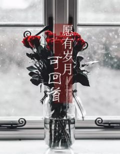 好书推荐《愿有岁月可回首》乔湘顾以琛全文免费试读